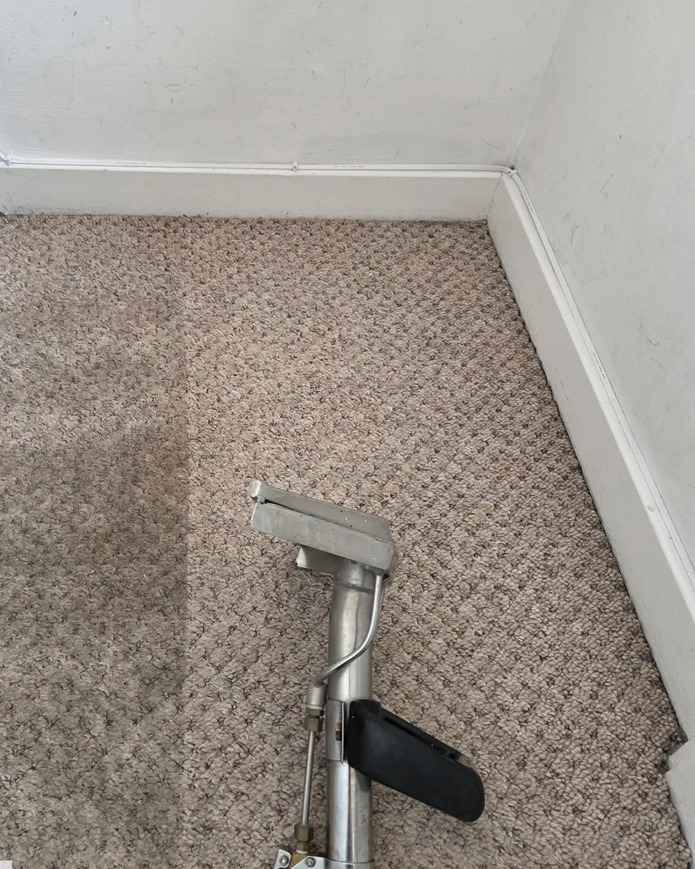 A carpet cleaning wand mid-pass on a stair carpet, the cleaned half visibly lighter than the rest