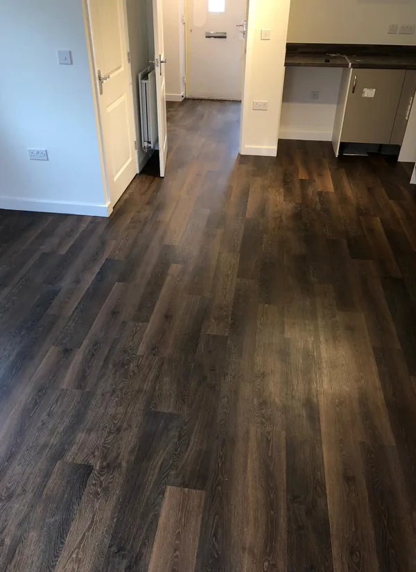 Dark plank flooring running from a hallway through to a kitchen